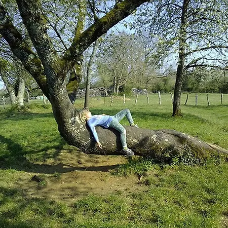 Au Grain De * Celles-en-Bassigny