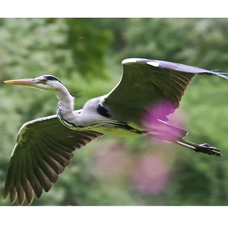 度假居 Au Grain De *