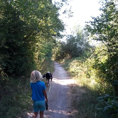 Au Grain De Holiday home Celles-en-Bassigny